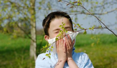 аллергия на пыльцу деревьев